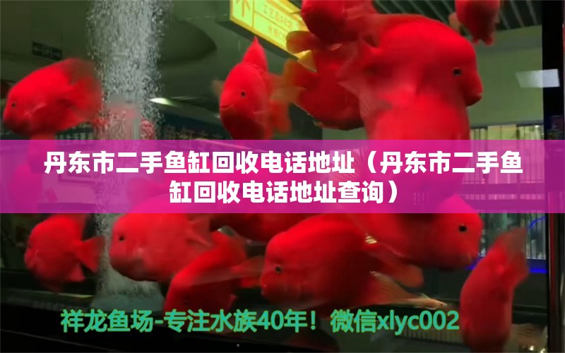 丹東市二手魚缸回收電話地址（丹東市二手魚缸回收電話地址查詢）