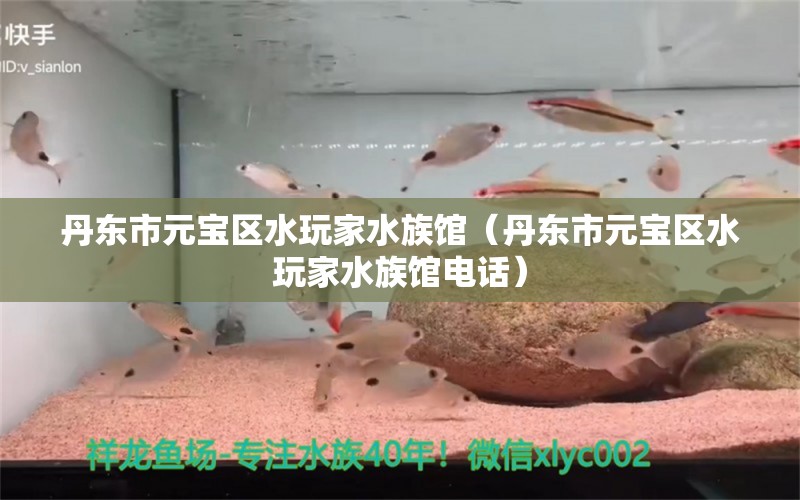 丹東市元寶區(qū)水玩家水族館（丹東市元寶區(qū)水玩家水族館電話）