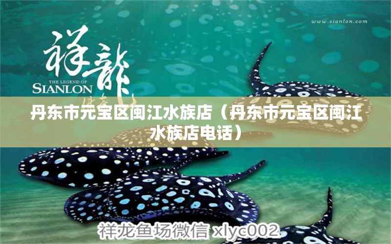 丹東市元寶區(qū)閩江水族店（丹東市元寶區(qū)閩江水族店電話）