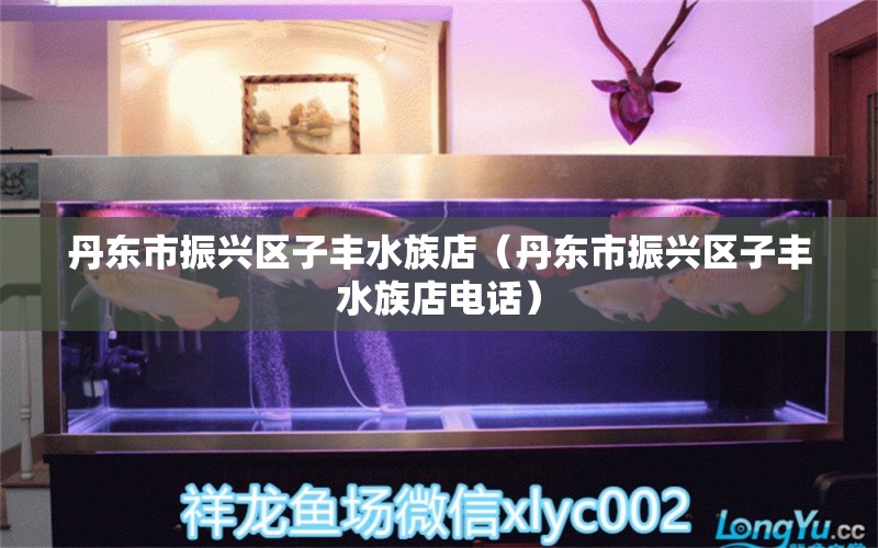 丹東市振興區(qū)子豐水族店（丹東市振興區(qū)子豐水族店電話） 全國水族館企業(yè)名錄