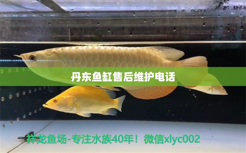 丹東魚缸售后維護電話 其他品牌魚缸