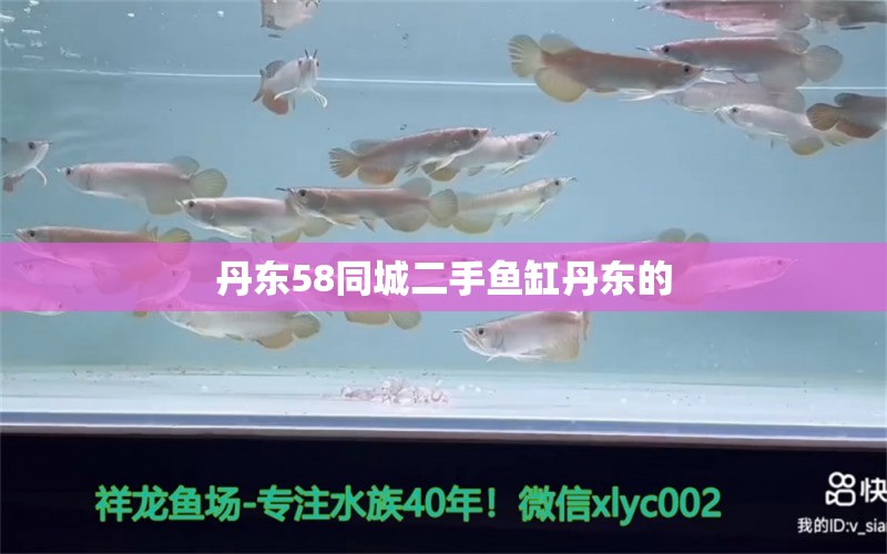 丹東58同城二手魚缸丹東的