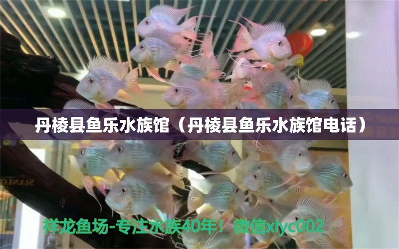 丹棱縣魚樂水族館（丹棱縣魚樂水族館電話） 全國水族館企業(yè)名錄