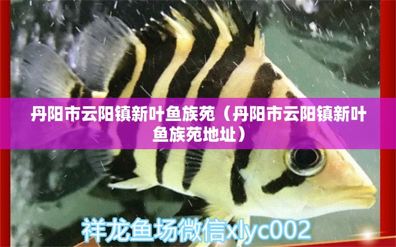 丹陽(yáng)市云陽(yáng)鎮(zhèn)新葉魚(yú)族苑（丹陽(yáng)市云陽(yáng)鎮(zhèn)新葉魚(yú)族苑地址）