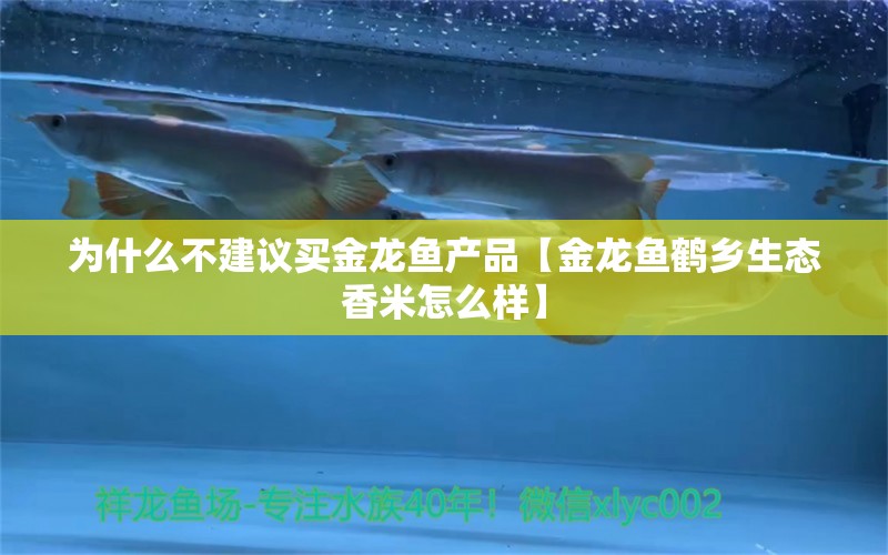 為什么不建議買(mǎi)金龍魚(yú)產(chǎn)品【金龍魚(yú)鶴鄉(xiāng)生態(tài)香米怎么樣】