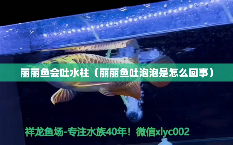 麗麗魚會吐水柱（麗麗魚吐泡泡是怎么回事）