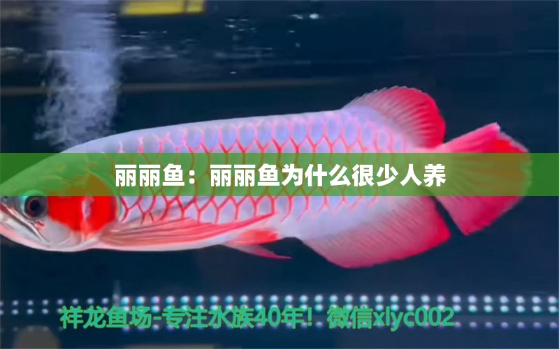 麗麗魚：麗麗魚為什么很少人養(yǎng)