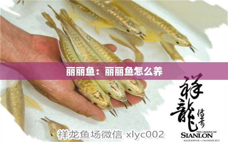 麗麗魚：麗麗魚怎么養(yǎng)