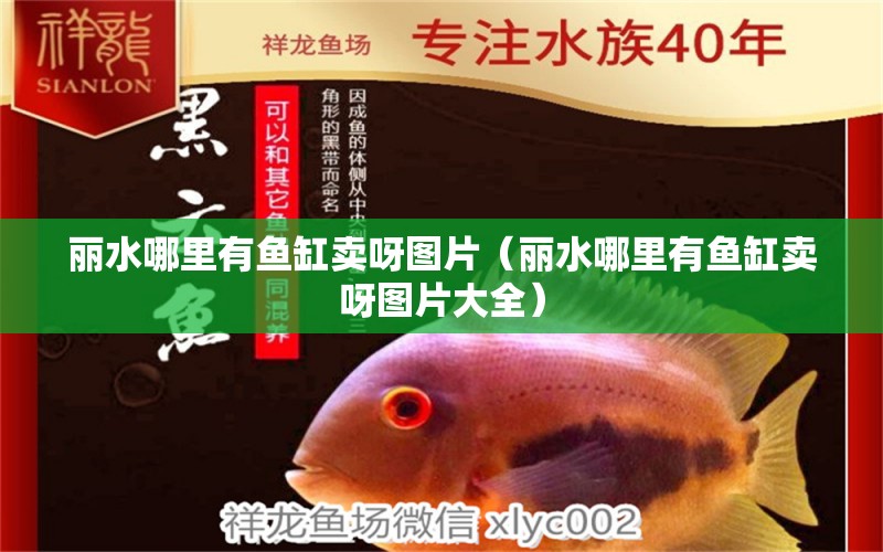 麗水哪里有魚缸賣呀圖片（麗水哪里有魚缸賣呀圖片大全） 祥龍水族醫(yī)院