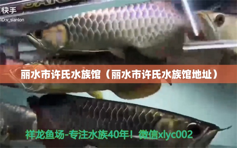 麗水市許氏水族館（麗水市許氏水族館地址）