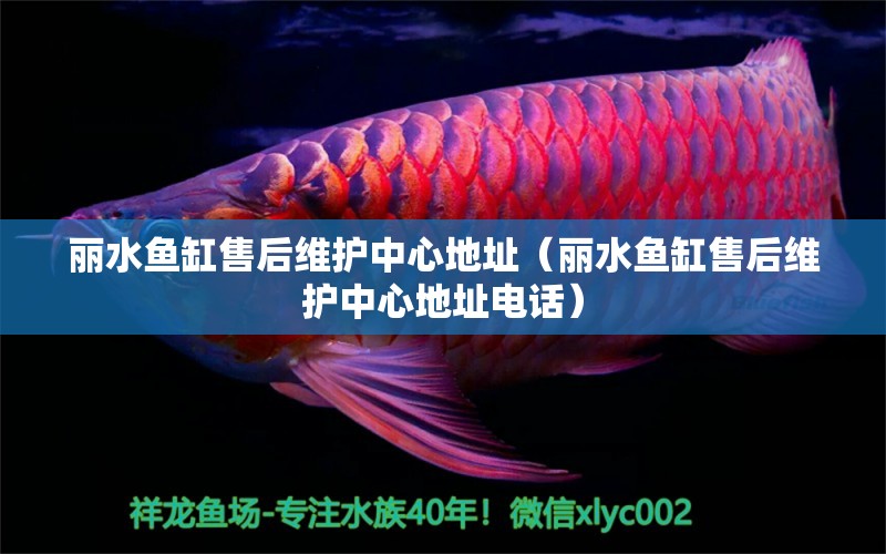 麗水魚缸售后維護(hù)中心地址（麗水魚缸售后維護(hù)中心地址電話）