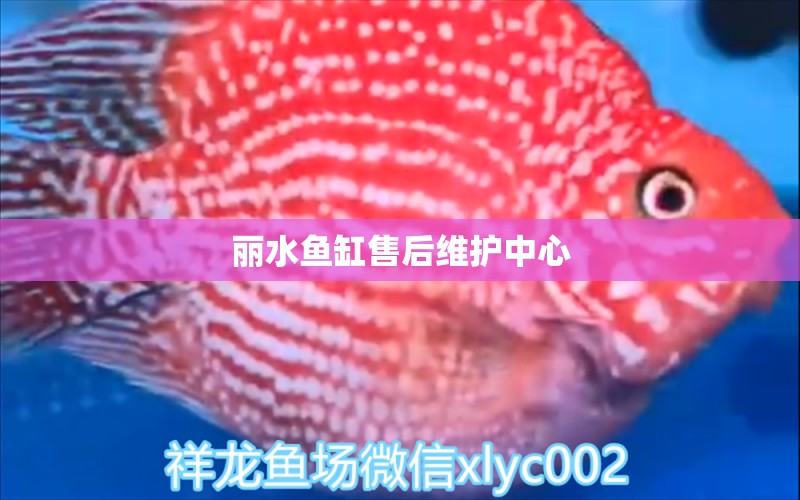 麗水魚缸售后維護(hù)中心 其他品牌魚缸