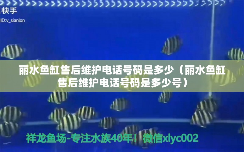 麗水魚缸售后維護(hù)電話號碼是多少（麗水魚缸售后維護(hù)電話號碼是多少號） 其他品牌魚缸