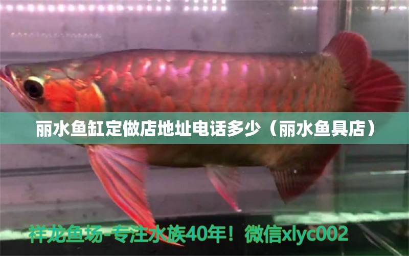 麗水魚(yú)缸定做店地址電話多少（麗水魚(yú)具店）