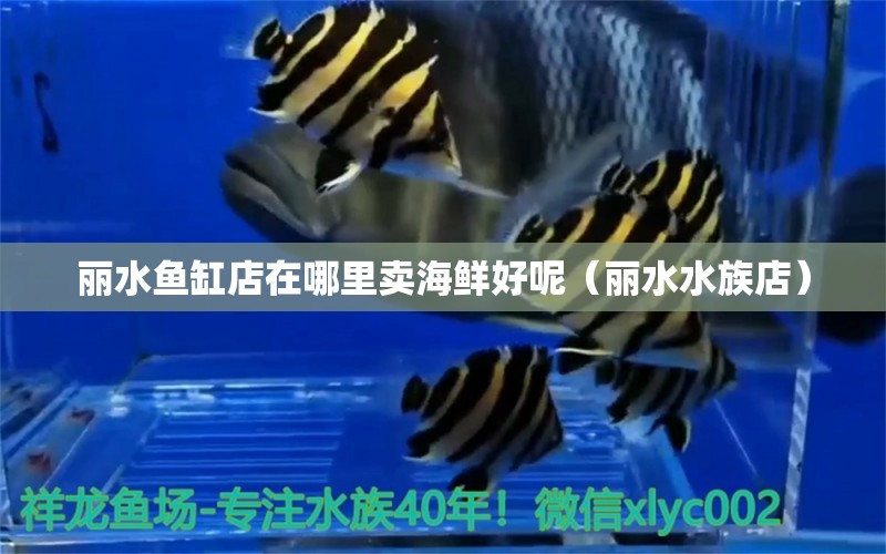 麗水魚(yú)缸店在哪里賣海鮮好呢（麗水水族店）