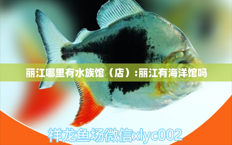 麗江哪里有水族館（店）:麗江有海洋館嗎