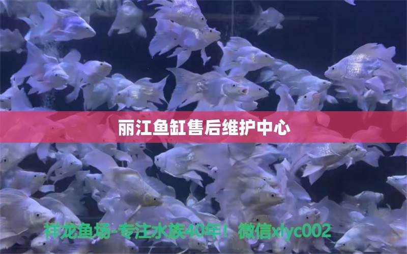 麗江魚缸售后維護中心 其他品牌魚缸