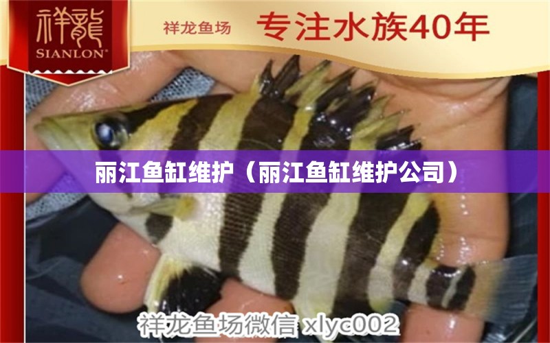 麗江魚缸維護（麗江魚缸維護公司） 祥龍魚場