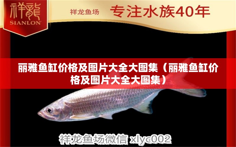 麗雅魚缸價格及圖片大全大圖集（麗雅魚缸價格及圖片大全大圖集）