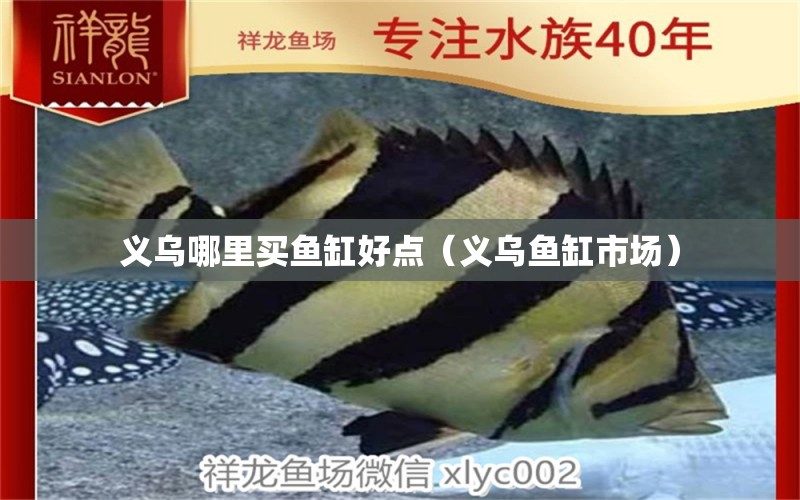 義烏哪里買魚缸好點(diǎn)（義烏魚缸市場(chǎng)） 過背金龍魚