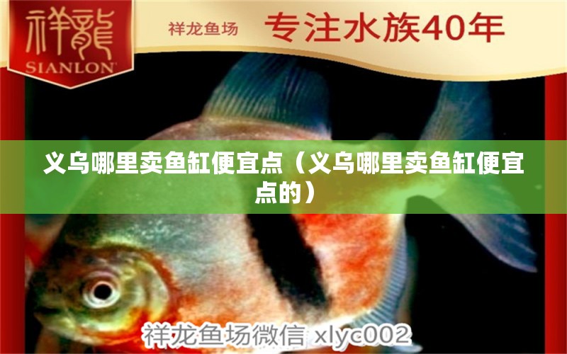 義烏哪里賣(mài)魚(yú)缸便宜點(diǎn)（義烏哪里賣(mài)魚(yú)缸便宜點(diǎn)的）