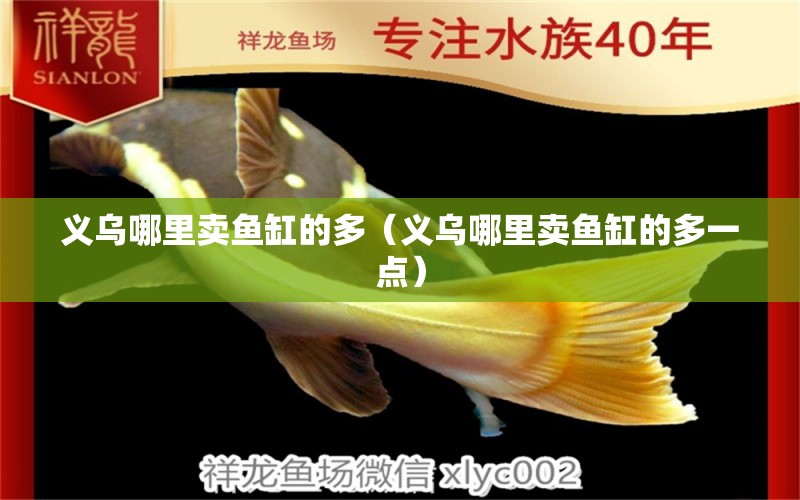 義烏哪里賣魚缸的多（義烏哪里賣魚缸的多一點(diǎn)） 魚糧魚藥