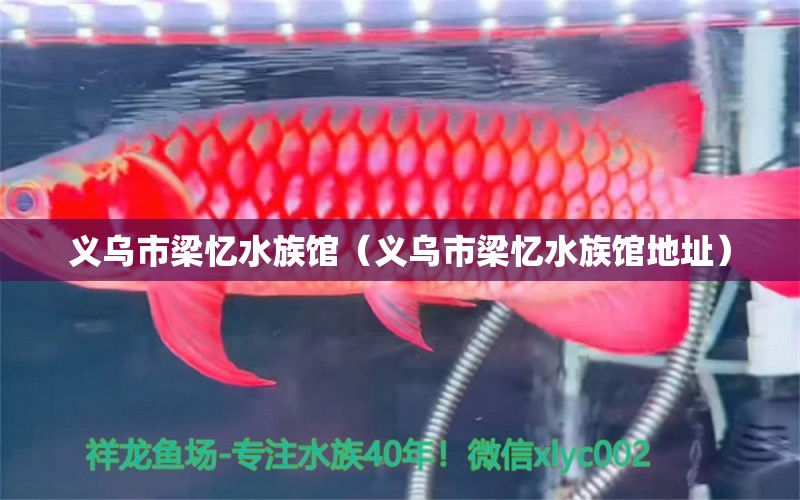 義烏市梁憶水族館（義烏市梁憶水族館地址）