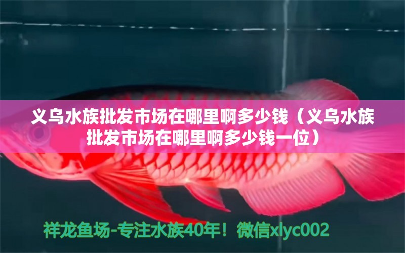 義烏水族批發(fā)市場(chǎng)在哪里啊多少錢(qián)（義烏水族批發(fā)市場(chǎng)在哪里啊多少錢(qián)一位） 觀賞魚(yú)水族批發(fā)市場(chǎng)