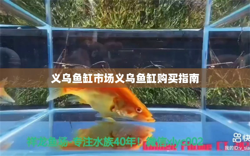 義烏魚缸市場(chǎng)義烏魚缸購買指南