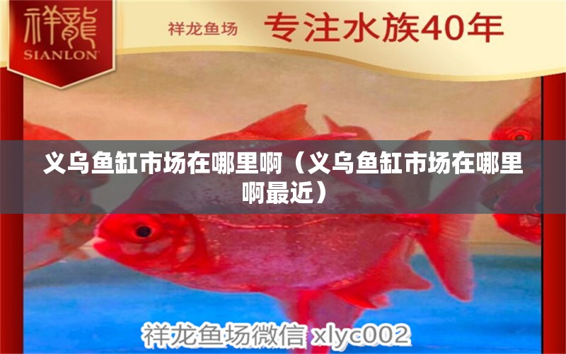 義烏魚缸市場(chǎng)在哪里?。x烏魚缸市場(chǎng)在哪里啊最近） 潛水艇魚