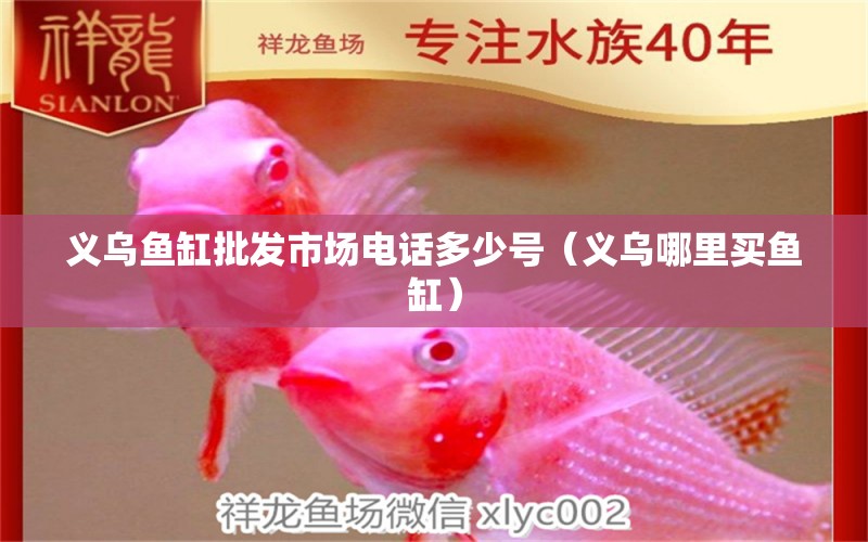 義烏魚缸批發(fā)市場電話多少號（義烏哪里買魚缸）