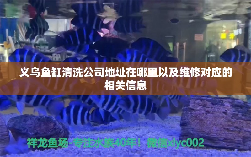 義烏魚缸清洗公司地址在哪里以及維修對應的相關信息 除藻劑