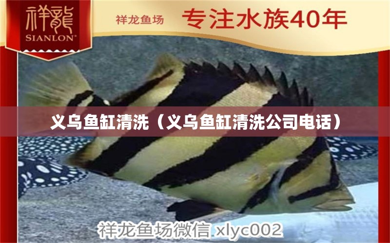 義烏魚缸清洗（義烏魚缸清洗公司電話） 其他品牌魚缸