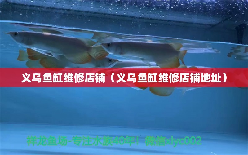 義烏魚缸維修店鋪（義烏魚缸維修店鋪地址） 觀賞魚市場（混養(yǎng)魚）