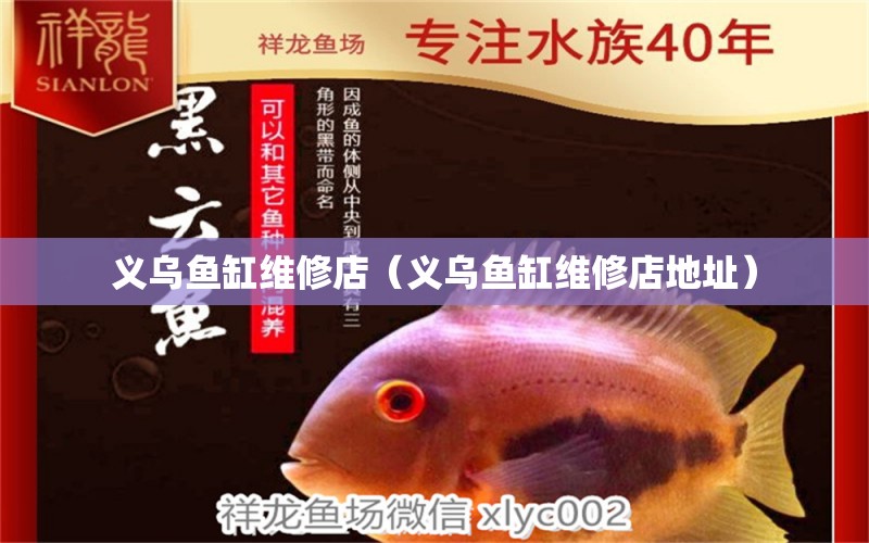 義烏魚缸維修店（義烏魚缸維修店地址） 其他品牌魚缸