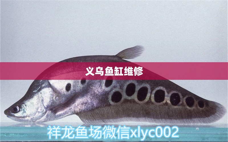 義烏魚缸維修