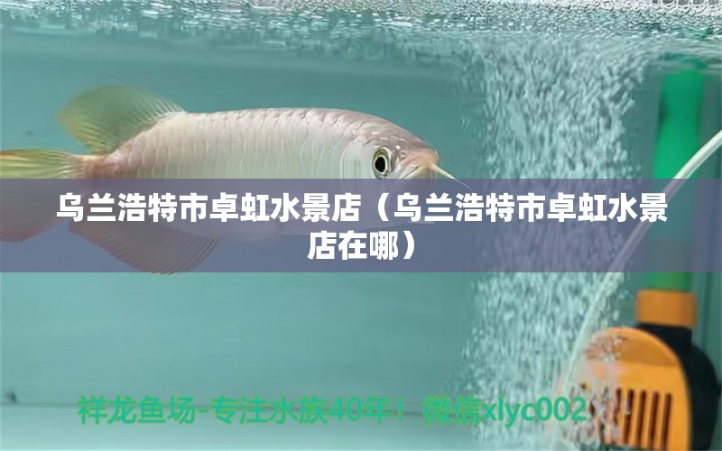 烏蘭浩特市卓虹水景店（烏蘭浩特市卓虹水景店在哪） 全國水族館企業(yè)名錄