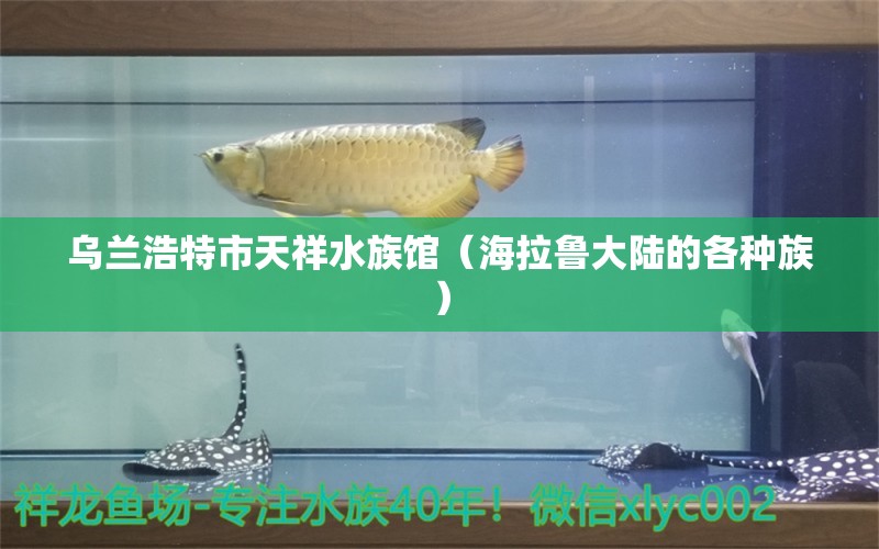 烏蘭浩特市天祥水族館（海拉魯大陸的各種族）