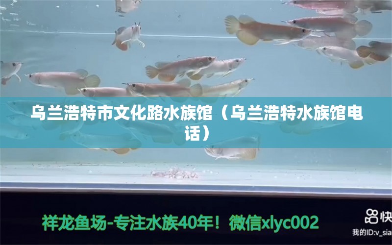 烏蘭浩特市文化路水族館（烏蘭浩特水族館電話）