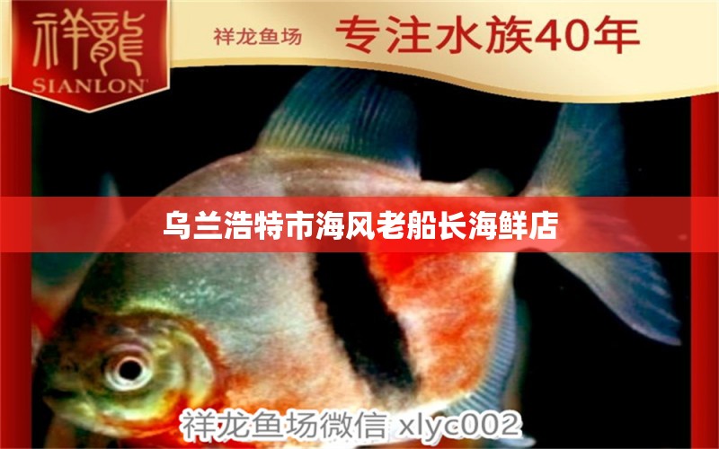 烏蘭浩特市海風(fēng)老船長海鮮店 全國水族館企業(yè)名錄