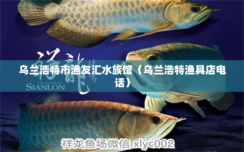 烏蘭浩特市漁友匯水族館（烏蘭浩特漁具店電話）