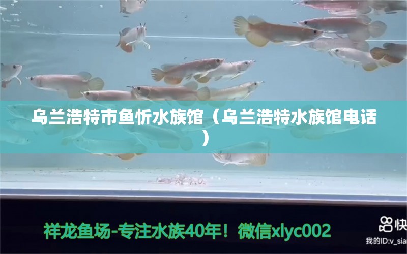 烏蘭浩特市魚(yú)忻水族館（烏蘭浩特水族館電話）