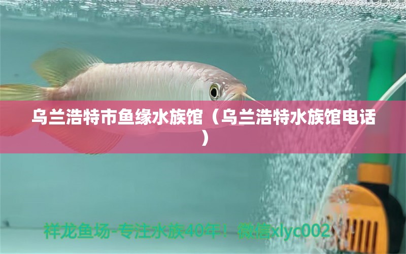 烏蘭浩特市魚緣水族館（烏蘭浩特水族館電話） 全國水族館企業(yè)名錄