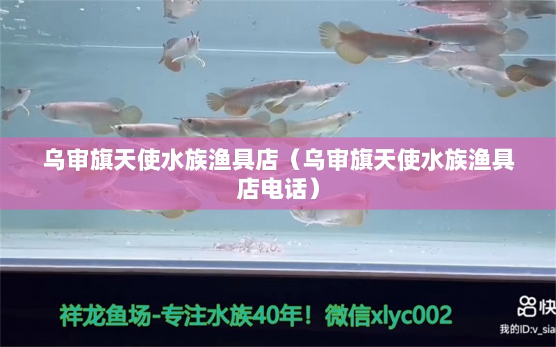 烏審旗天使水族漁具店（烏審旗天使水族漁具店電話）