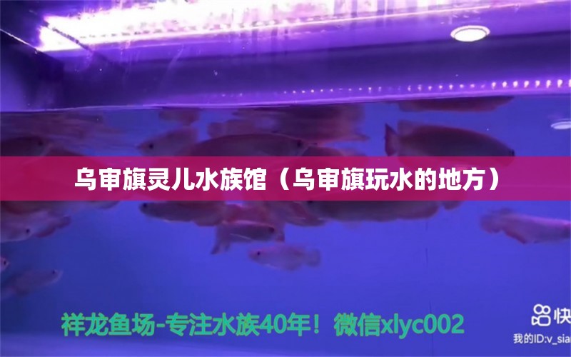 烏審旗靈兒水族館（烏審旗玩水的地方）