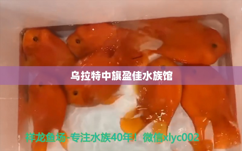 烏拉特中旗盈佳水族館