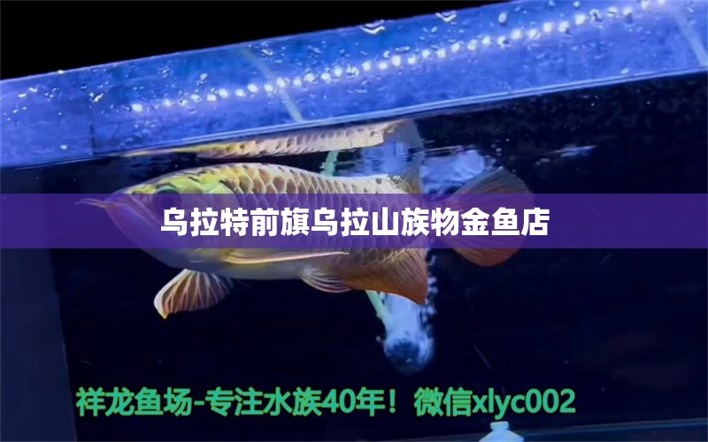 烏拉特前旗烏拉山族物金魚(yú)店 全國(guó)水族館企業(yè)名錄