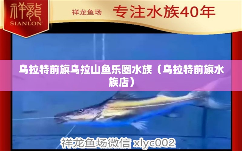 烏拉特前旗烏拉山魚樂圈水族（烏拉特前旗水族店） 全國(guó)水族館企業(yè)名錄