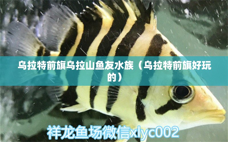 烏拉特前旗烏拉山魚友水族（烏拉特前旗好玩的）