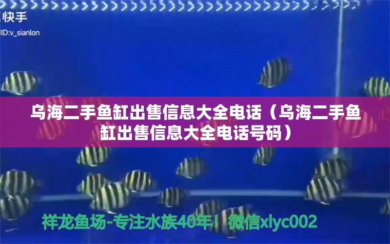 烏海二手魚缸出售信息大全電話（烏海二手魚缸出售信息大全電話號碼） 祥龍水族醫(yī)院